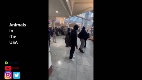 Fight Club in the USA Part 6