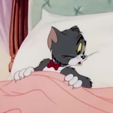 Кот миллионер