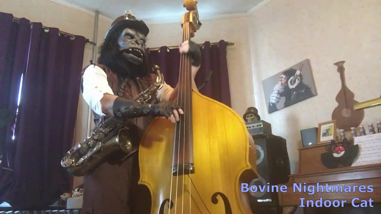 Indoor Cat (excerpt) HAPPY MONKEY DAY 2022 from Steampunk Munky of Bovine Nightmares