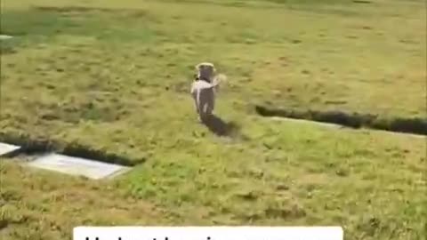 WAIT FOR IT 😘MOM PASSED AWAY RECENTLY MY DOG AND MOM HAD SUCH A SPECIAL BOND