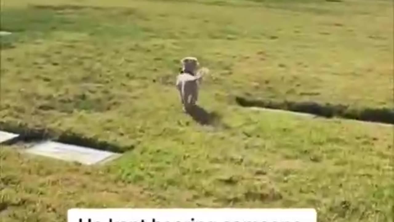WAIT FOR IT 😘MOM PASSED AWAY RECENTLY MY DOG AND MOM HAD SUCH A SPECIAL BOND