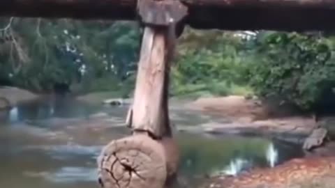 Logging Truck Crossing Wood Bridge FAILS