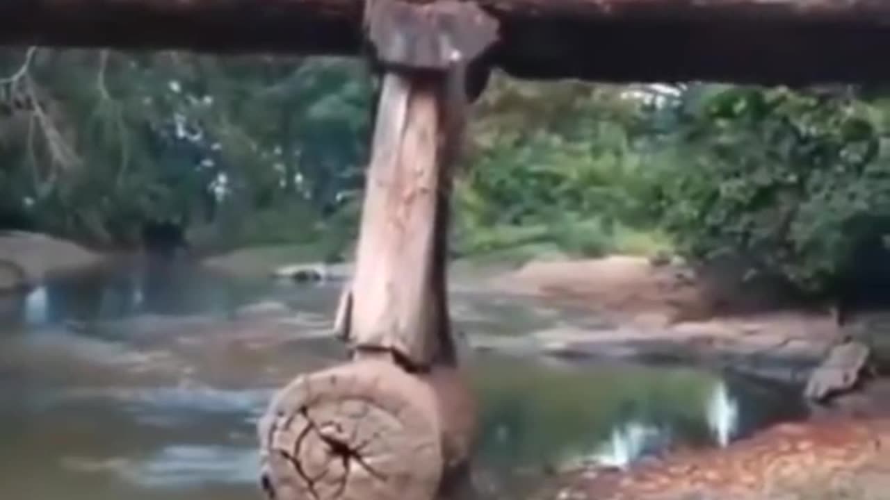 Logging Truck Crossing Wood Bridge FAILS