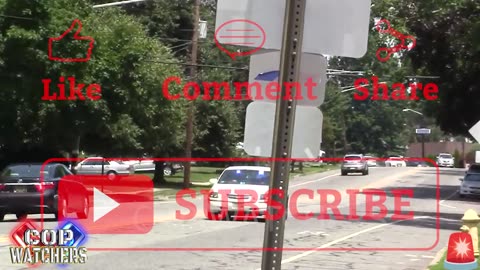 Florida Man Strikes Again! K9 Cop Catches Armed Robbery Suspect!!