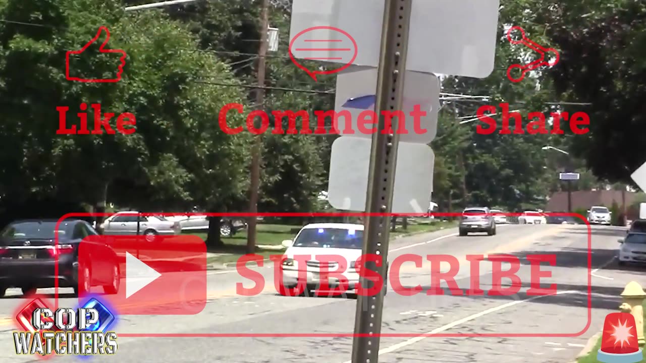 Florida Man Strikes Again! K9 Cop Catches Armed Robbery Suspect!!