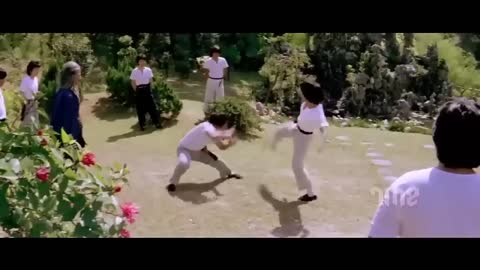 Jackie Chan Kung fu4