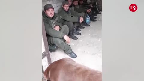 "The herd of Russian hostages lost their way" - Russians were captured while hungry and thirst