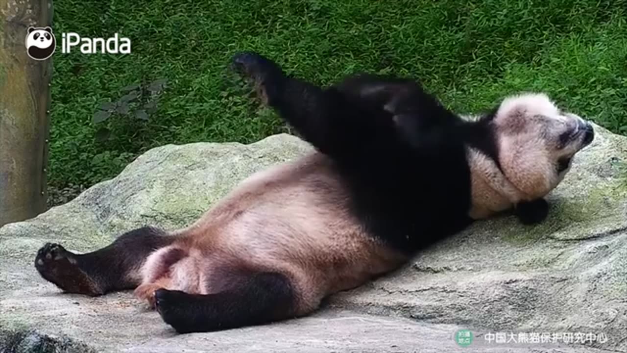 Mom,Buy Me A Toy