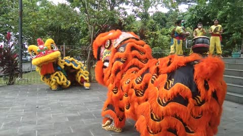 Pertunjukan Barongsai seru nontonnya