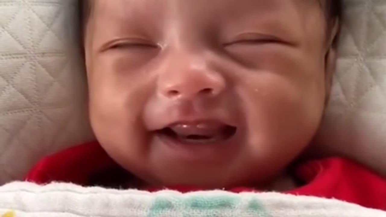 Funny video of a faughty little boy. Happy child