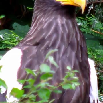 Find Your Peace: Discover How Relaxing This is? Volume 127