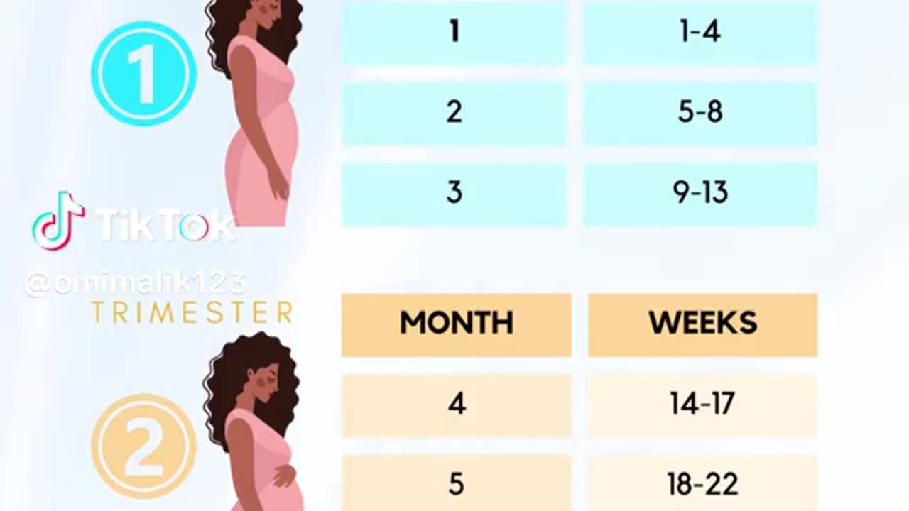 Pregnancy off a women week by week