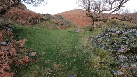 Riverside walk in Dartmoor