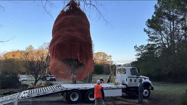 Christmas tree arrives at State Capitol