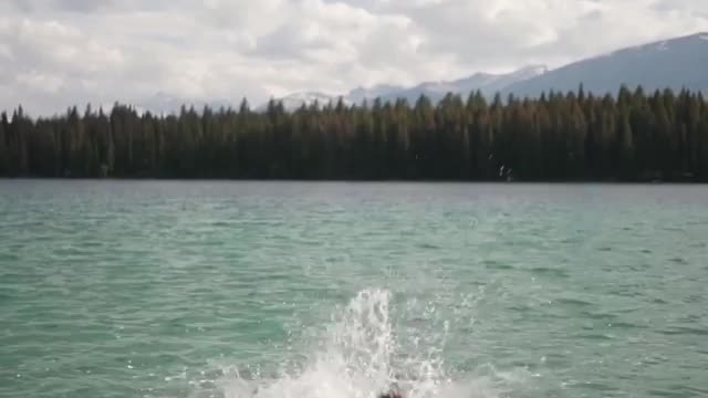 JUMP IN + + + What A Way To End The Trip.