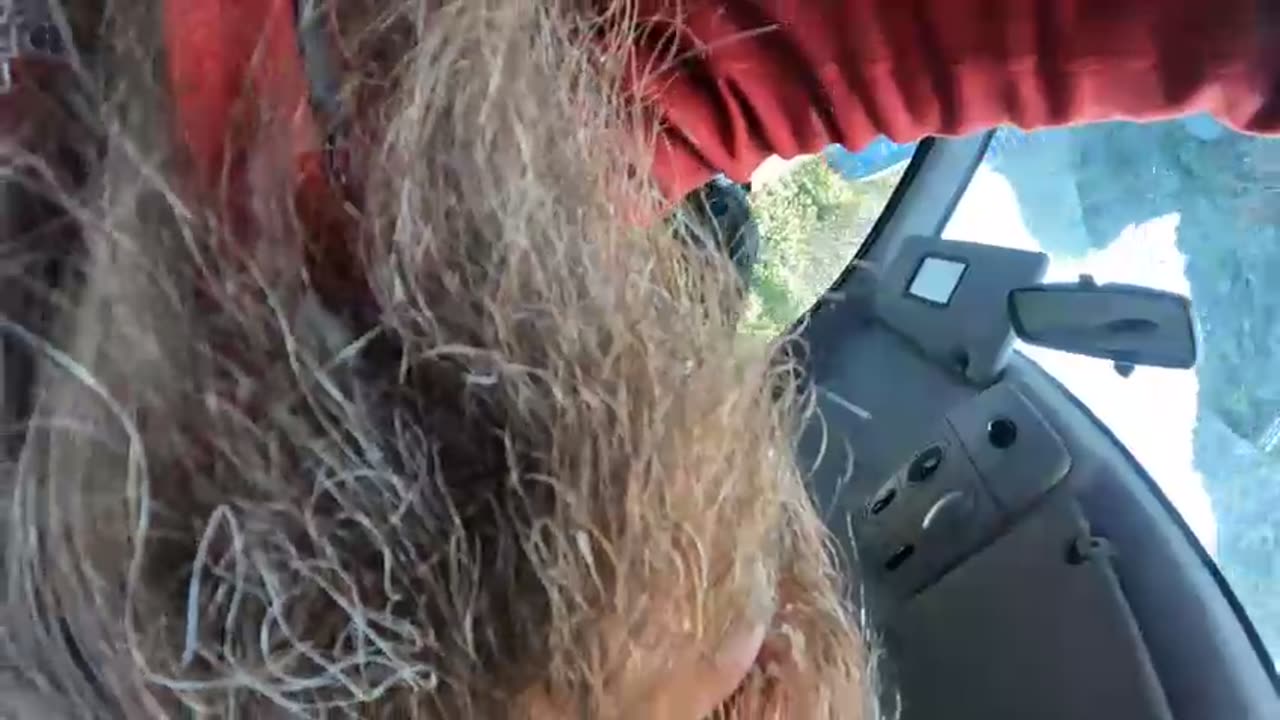 2023-02-17 (6) - Dans la spirale du local - Twitch Meutemediatique