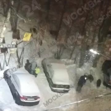 Filming wild boars while being filmed 😂