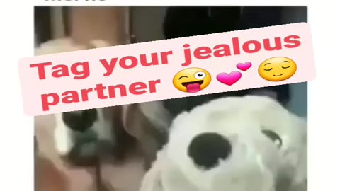 Jealousy