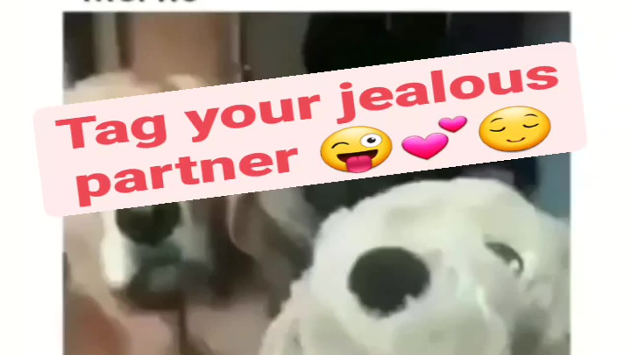 Jealousy
