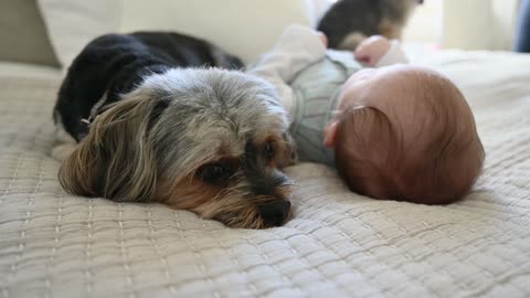 Cute baby and dog