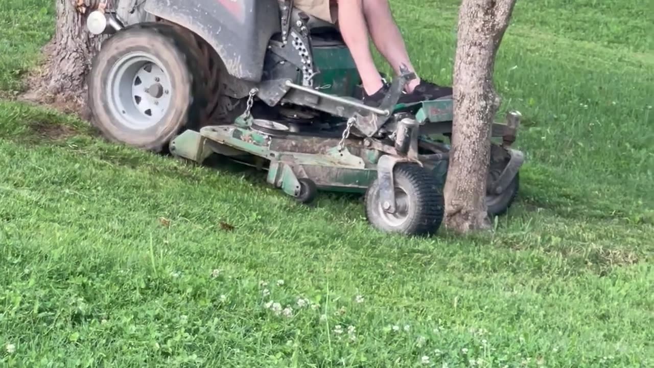 Lawnmowing Man Gets Stuck Between Trees || Viral Verse