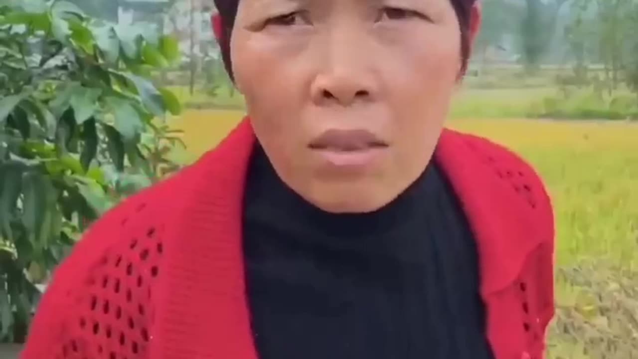 Dadi ki cute ristedar #shorts