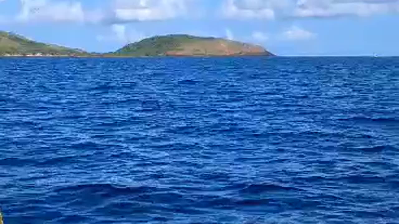 A View From A Pump Boat