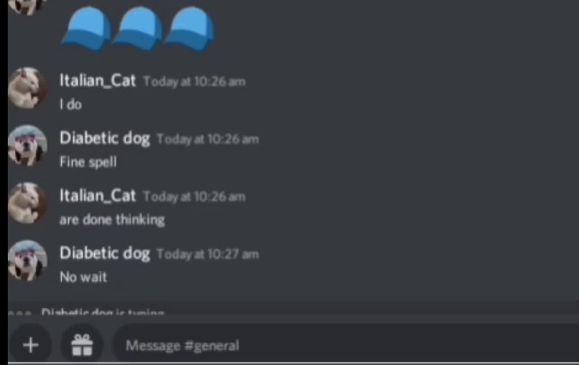 Italian cat dosen't know how to spell