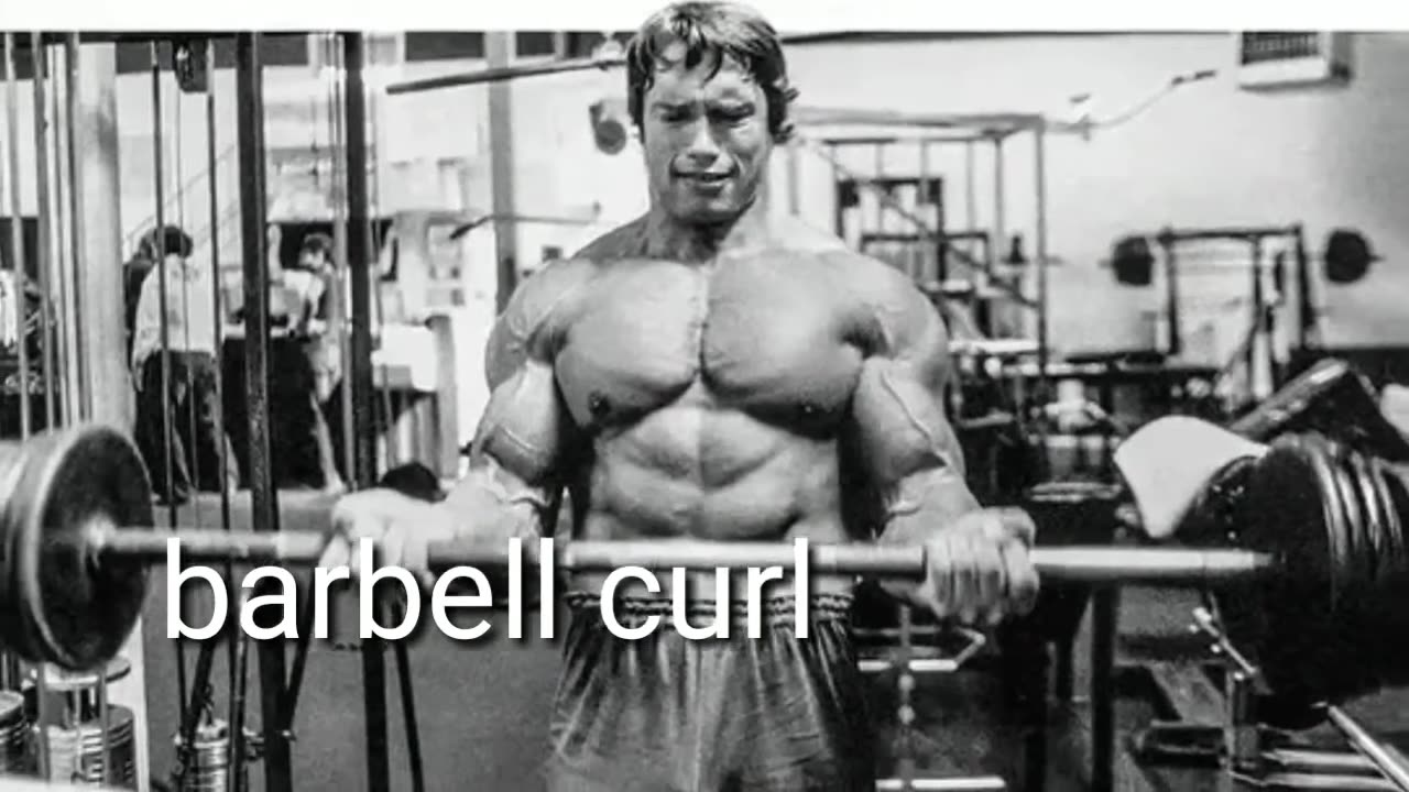 Arnold bicep workouts