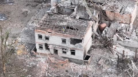 Robotic. Ukraine, Happy National Flag Day!