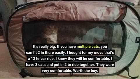 SportPet Designs Large Pop Open Kennel Portable-Overview