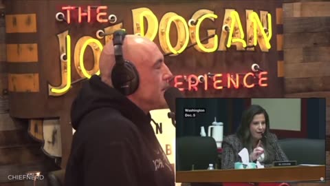 Joe Rogan Reacts to the Ivy League President Anti-Semitism Hearing