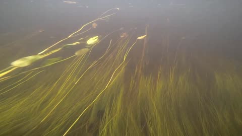 Underwater Adventure
