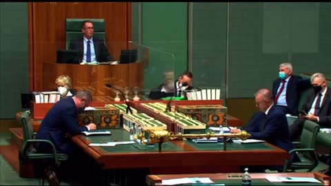 Craig Kelly questions parliament about acoustic 5G weapons