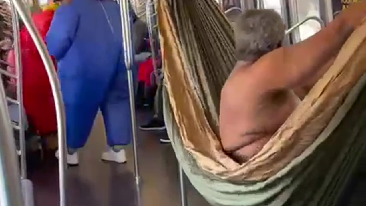 Bum Sets Up Hammock on Subway! 😂 #StreetComedy #NYC #FunnyShorts #LOL