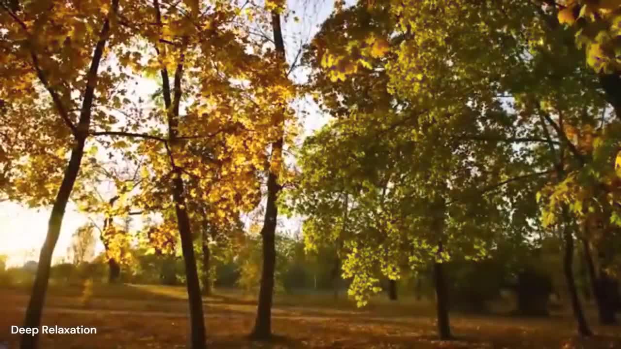 Deep Relaxation Music - forest - nature - 33 min For : relaxing - meditation - sleep - studying #7