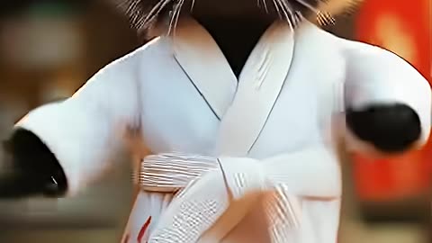 Cute Baby Cat Dancing