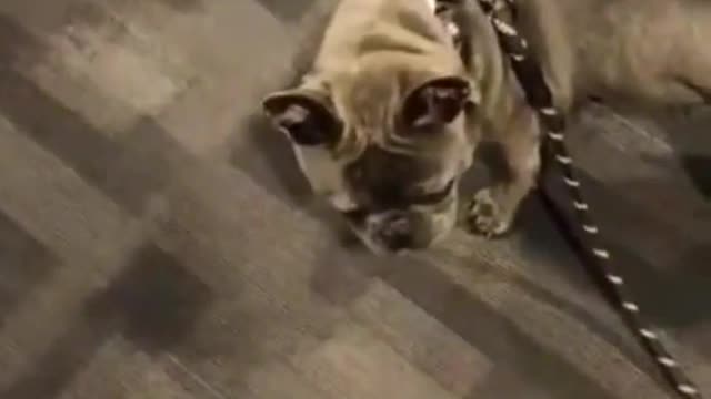 There saying “ITS MY CHANCE”