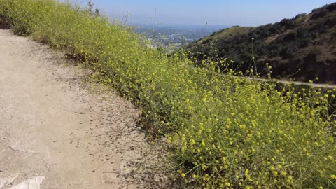 The 10,000 Foot View (5-14-23)