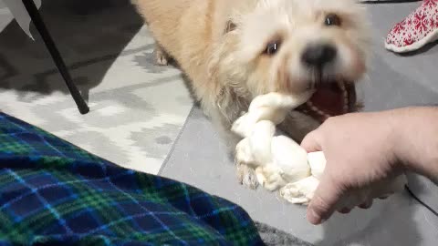 BERKELEY PULL-A-PART