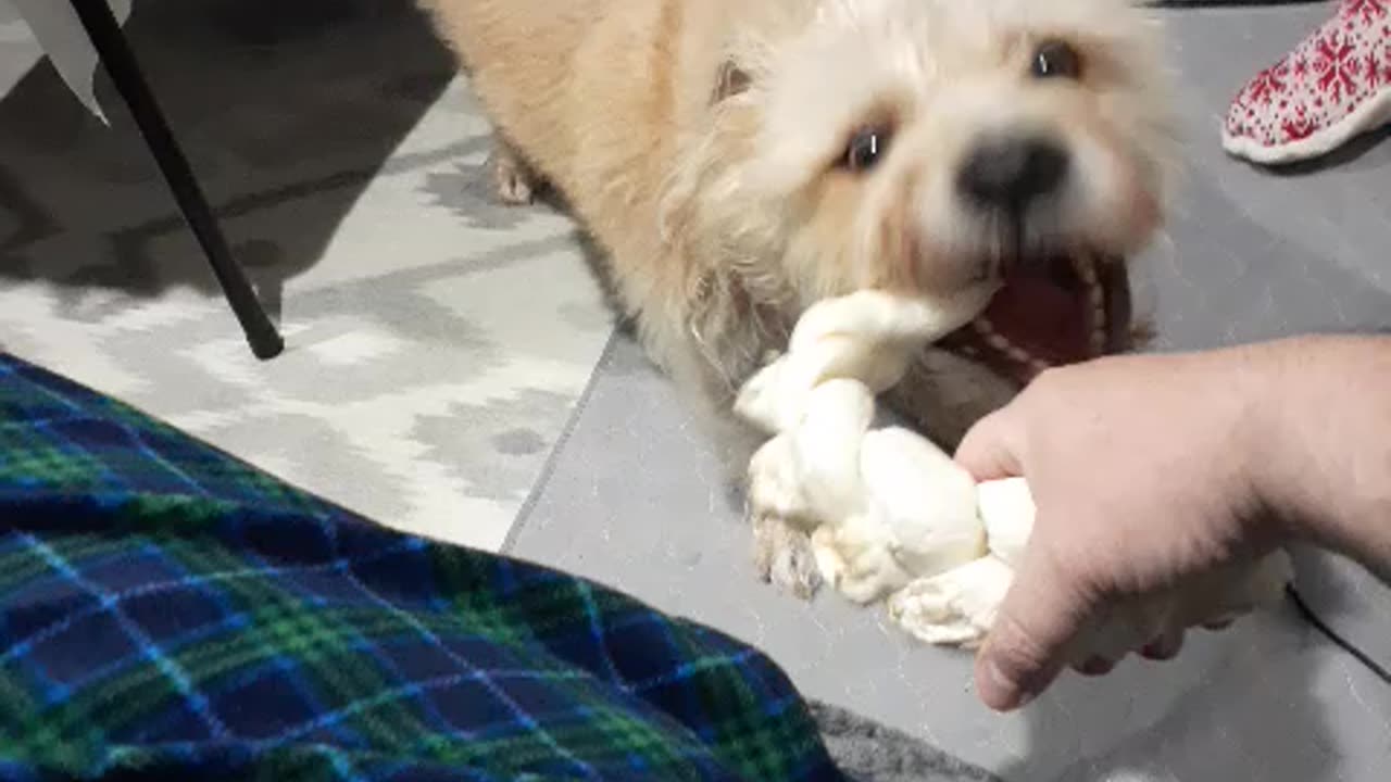 BERKELEY PULL-A-PART