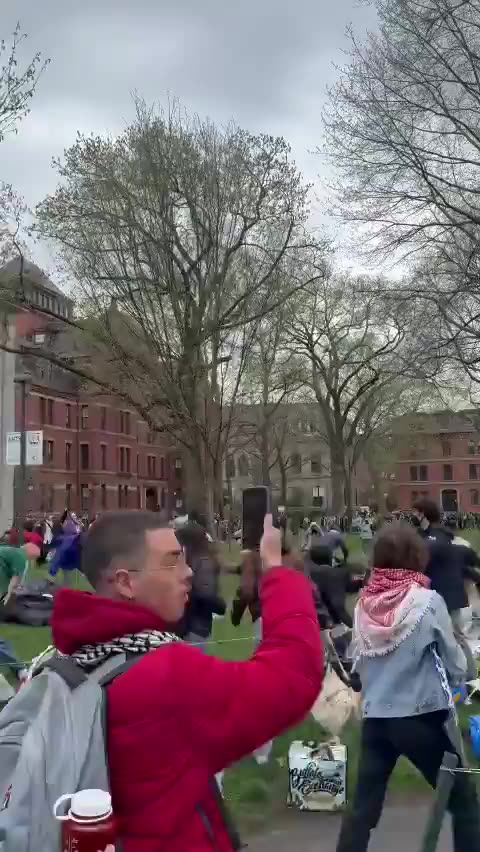 Harvard Pro-Palestine Protestors Try To Set Up Autonomous Zone On University Grounds