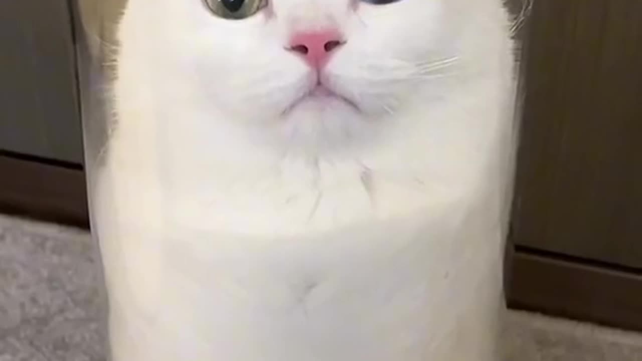 WOW 😲