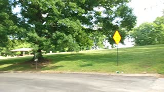 Shelby Park part 3 Rough Draft