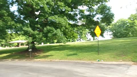 Shelby Park part 3 Rough Draft