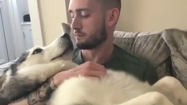 Owner loving and kissing his pet dog