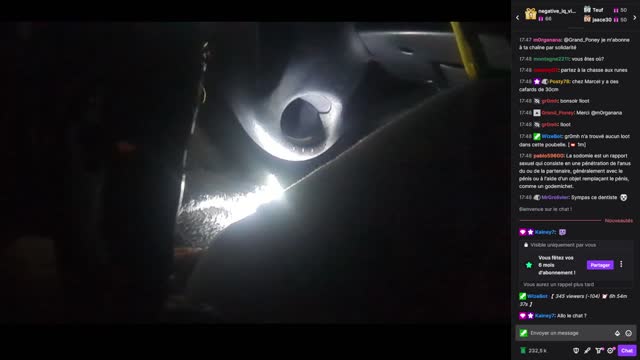 2022-12-14 (3bis.5) - Live dans la Laguna pleine de cafards - Twitch Decheterie (version avec chat)