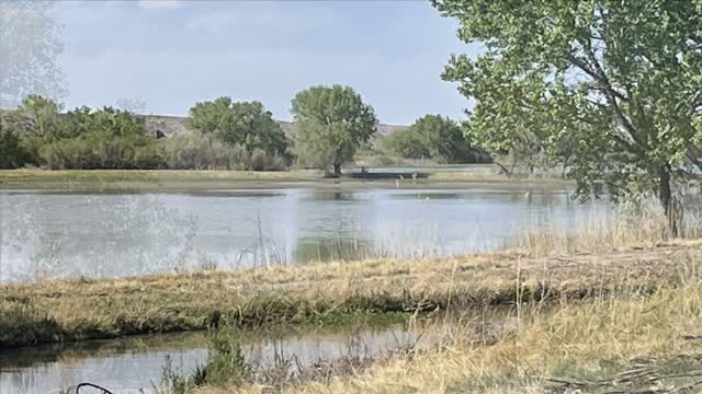 Bosque del Apache NWR April 2022