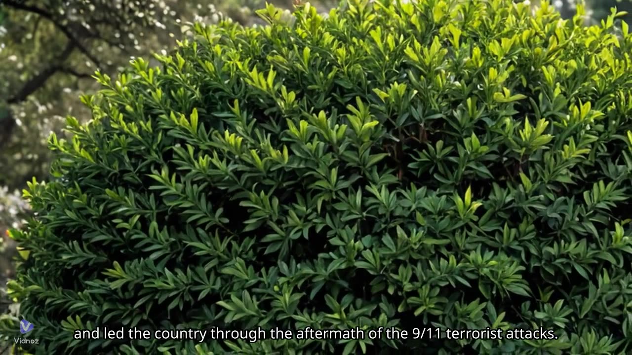 The life of George W. Bush