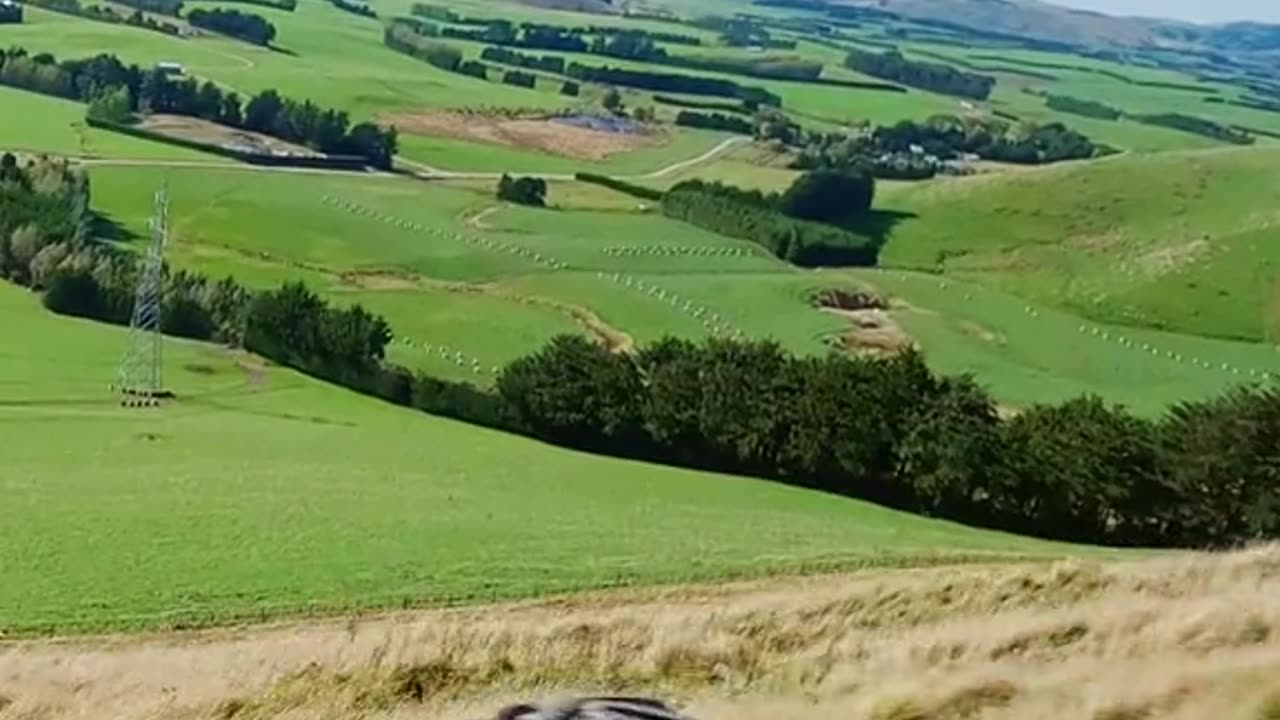 Qmobile and the family 👪 ❤ ♥ the day I